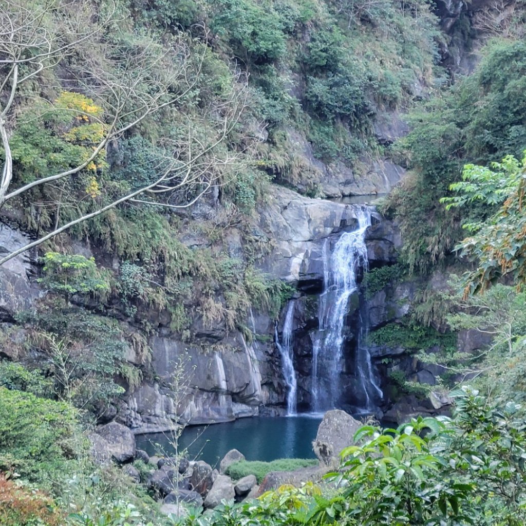 鳳凰谷步道_1965914