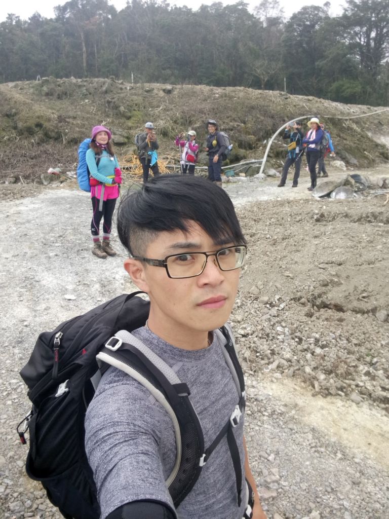 米羅山之木_292542