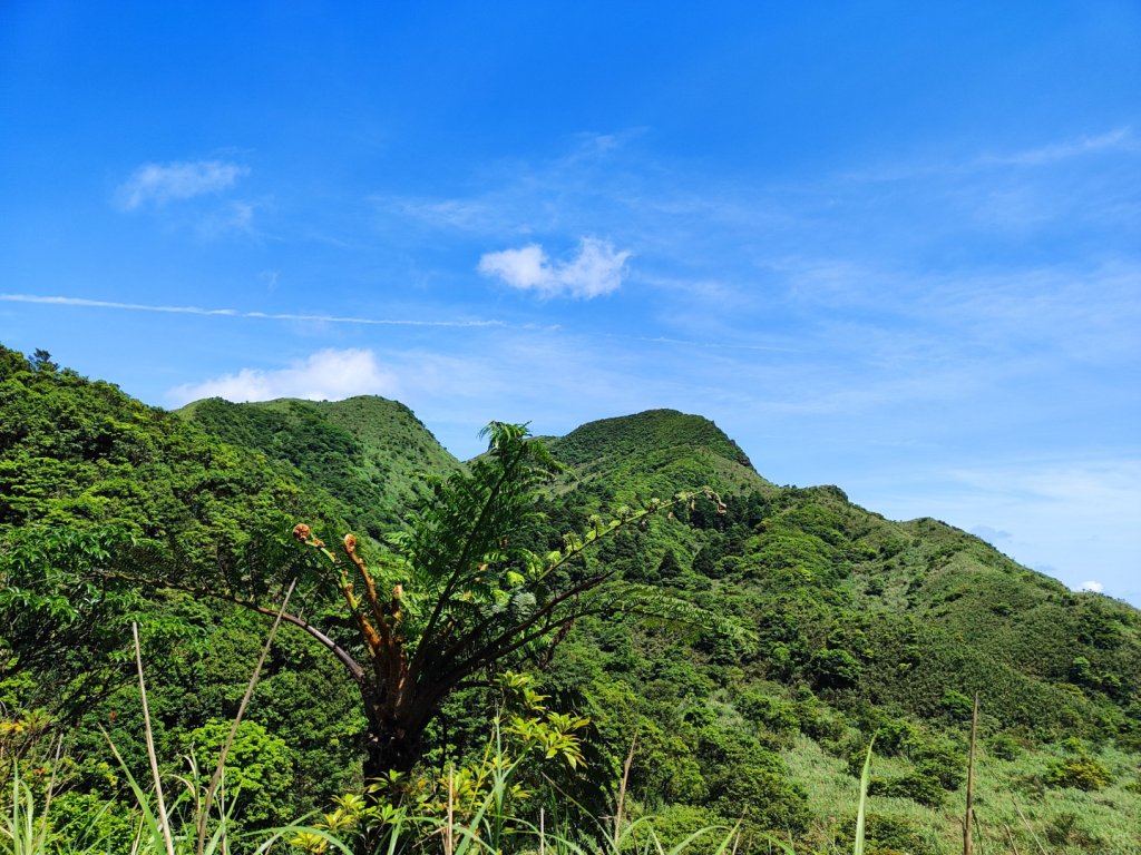 淡蘭北2+1逆走二刷_2772778