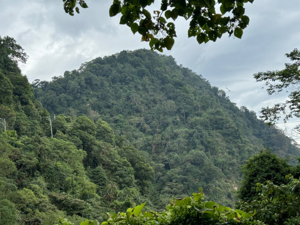 台中市太平區小百岳NO.44暗影山（3-4181）（北稜登山口）封面圖