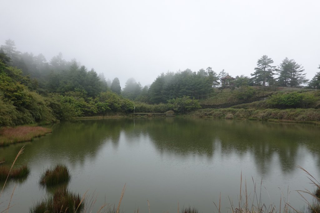 阿興阿賢雪山神木天池步道_582023