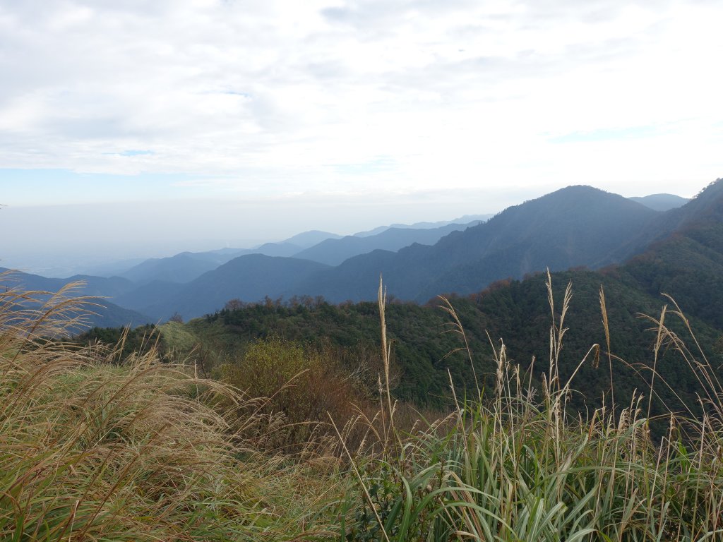 雨過天晴，抓住山毛櫸的尾巴!_1171461