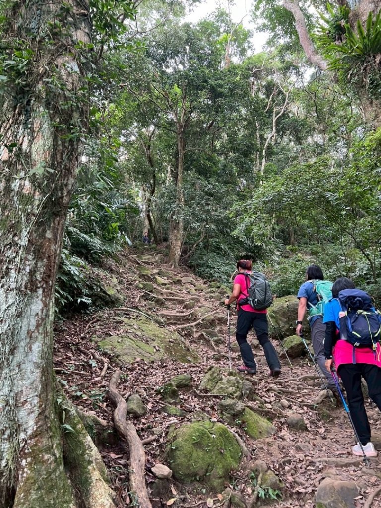 馬那邦山（珠湖登山口）_2933986