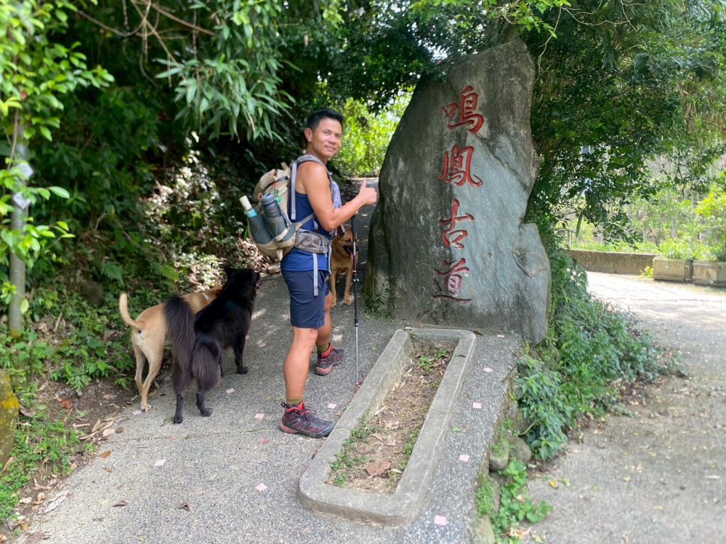 南隘勇古道.龍骨古道.綠色古道.延平古道.鳴鳳古道【一條很單調 一群才精彩】_2812048