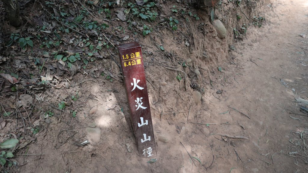 火炎山縱走慈濟茶園登山健行趣(小百岳35號)_2022849