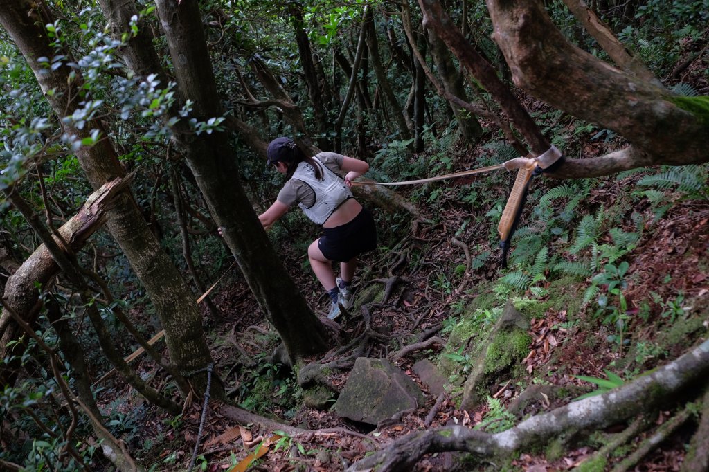 桃園復興區  東卡O縱_2823814