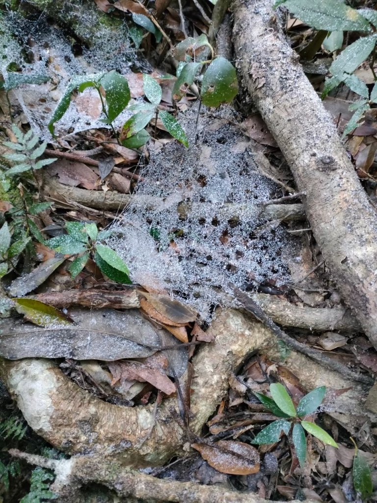 雪季北得拉曼_2956377