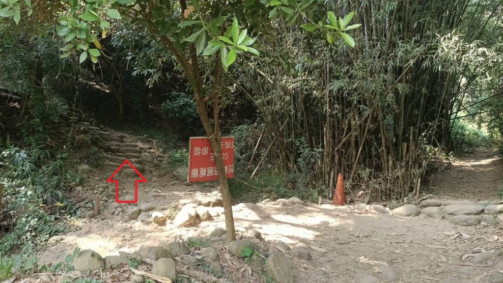 20251018 三義火炎山 南鞍古道 O型封面圖