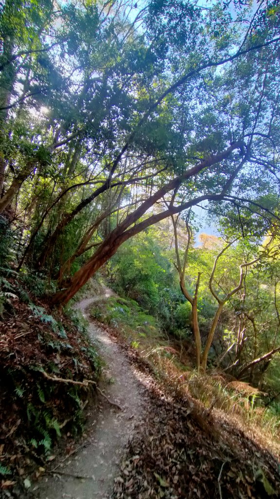 「水雲三星」之首 苗栗虎山_1538750