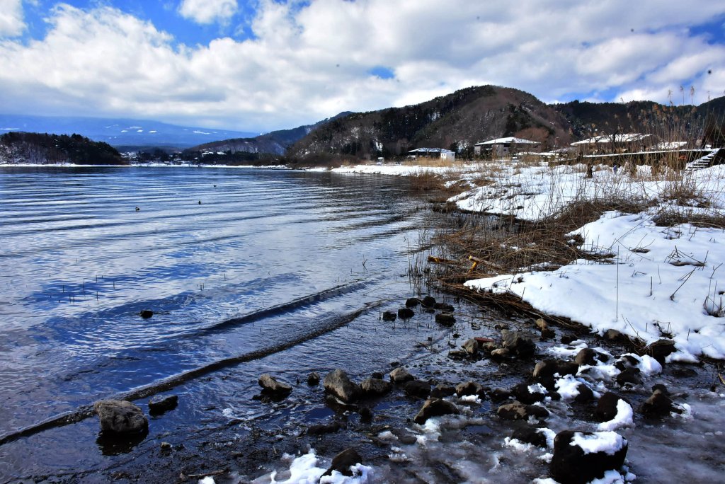 20250316日本旅遊自由行旅拍封面圖