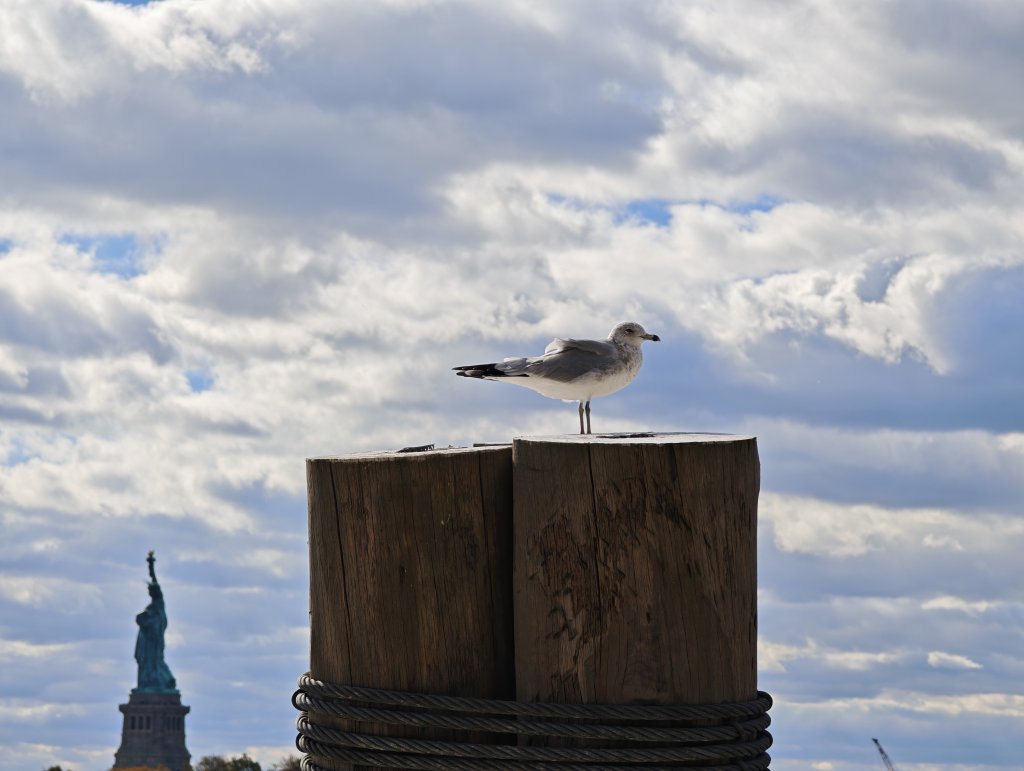 [紐約馬之行-09] 2025_1101 埃利斯島(Ellis Island)_2944963