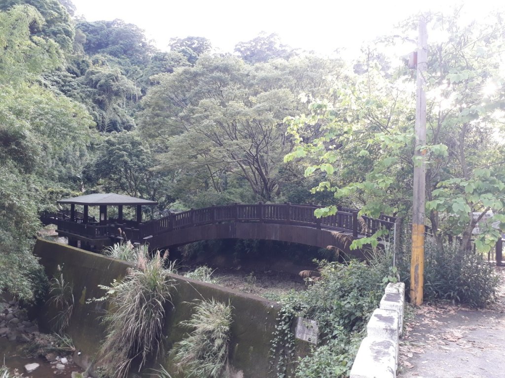 台中新田步道接大胡山O型20190601_595446