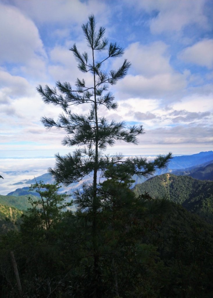 戀戀楓情～稍來山O走_1215069