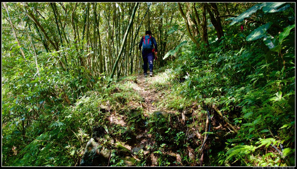 一坑古道、山腰古道、耳空龜山_364784