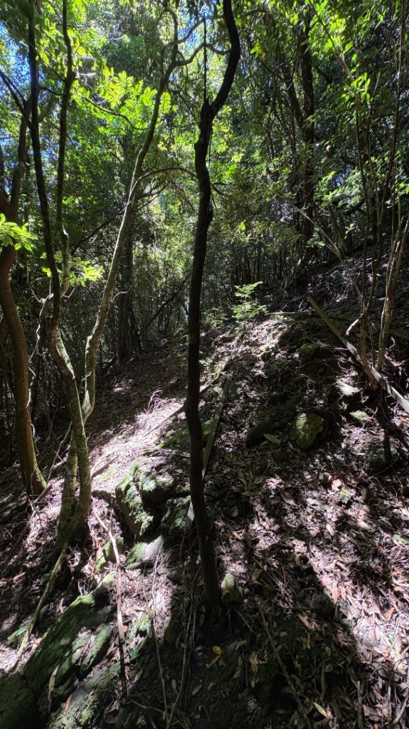 加里山東南峰_2868025
