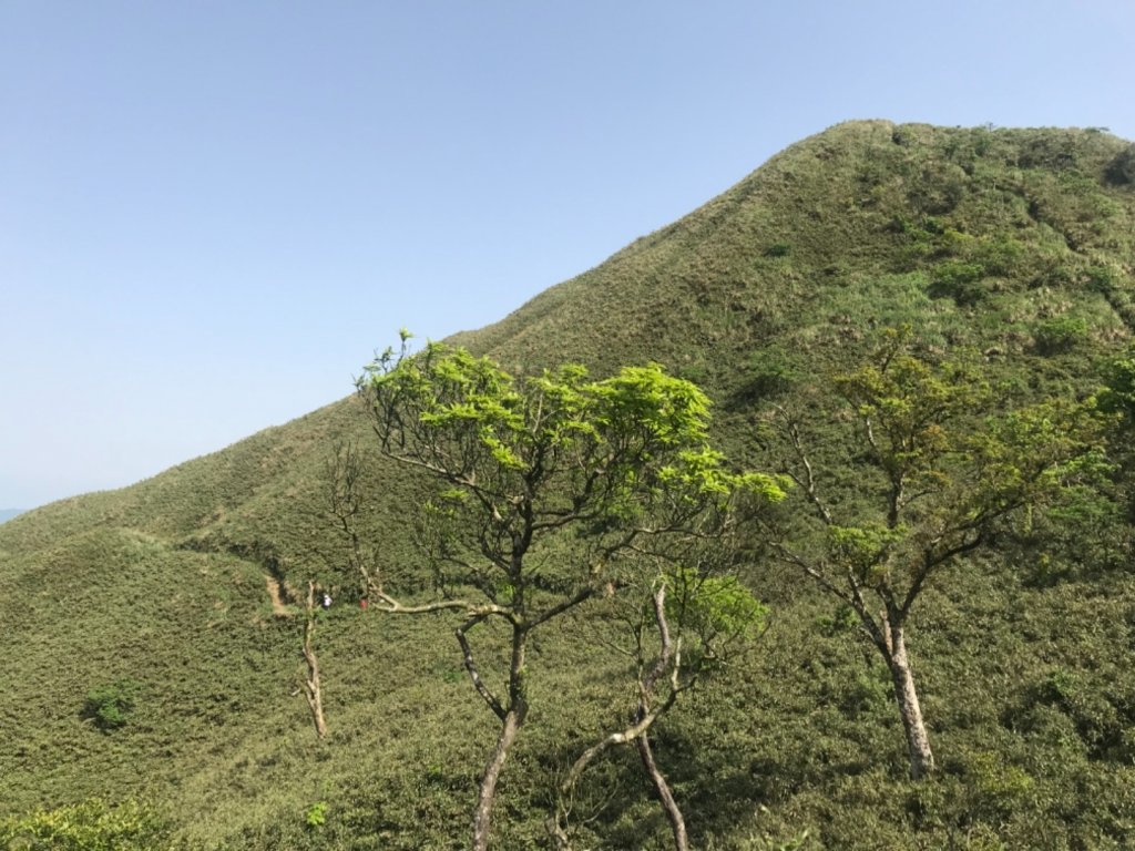 抹茶山、三角崙山、聖母山莊封面圖