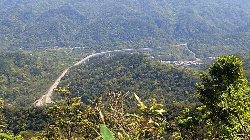 春天鮮綠的呢喃基隆荖寮坑古道上望古山登五分山O型_2747309