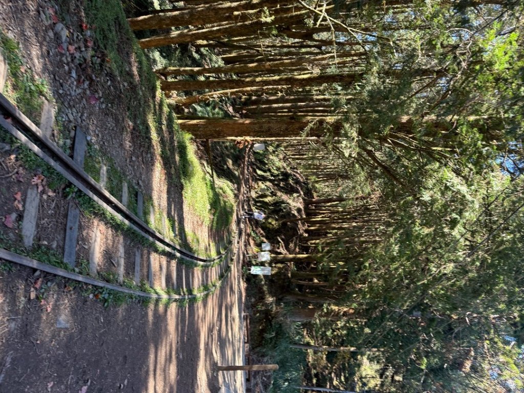 1141215塔山步道_2962692