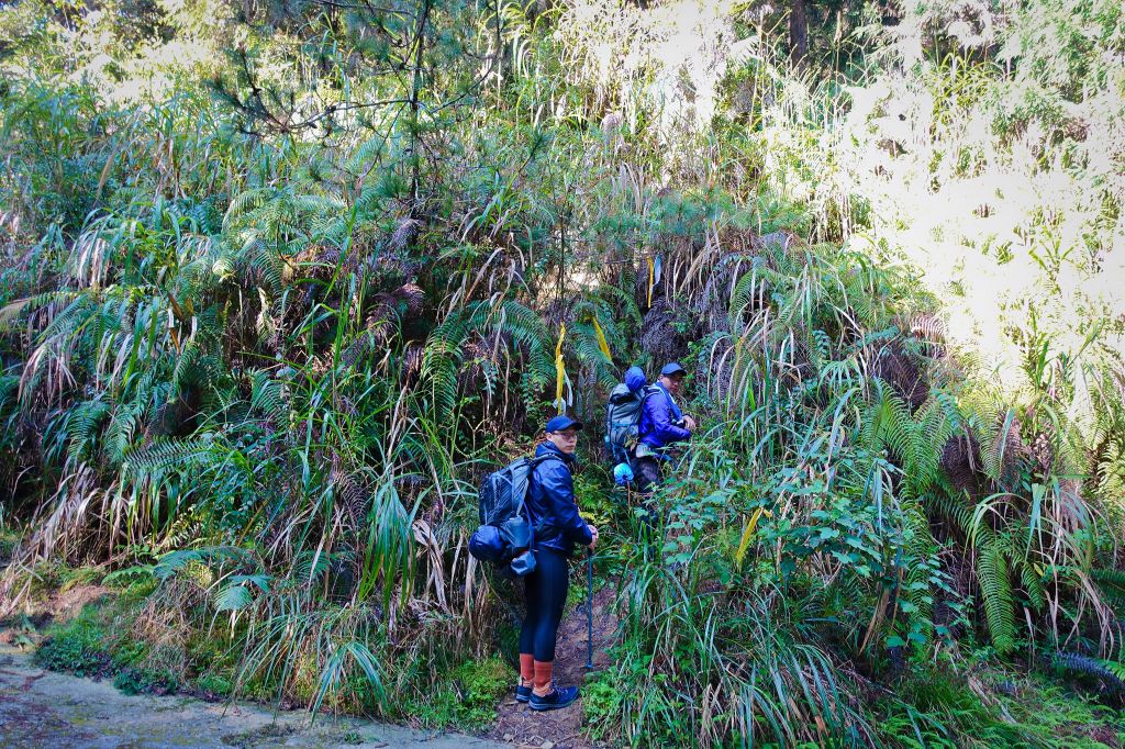 水漾森林。鹿屈山O型2018.04.04_306902