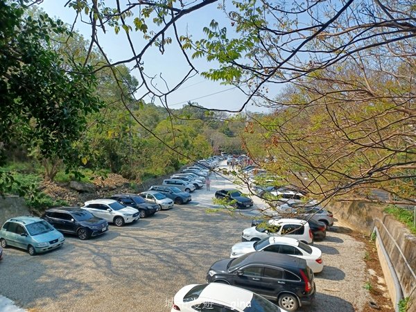 【台中大肚】綠蔭成徑。 大肚萬里長城步道O繞_2790767