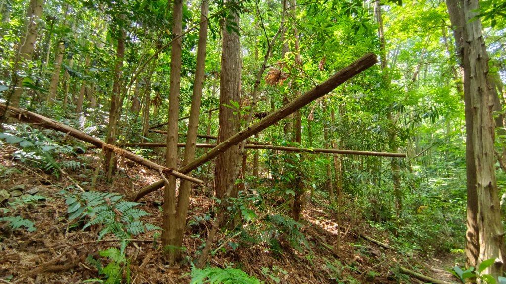 202206谷關七雄之白毛山_1742764