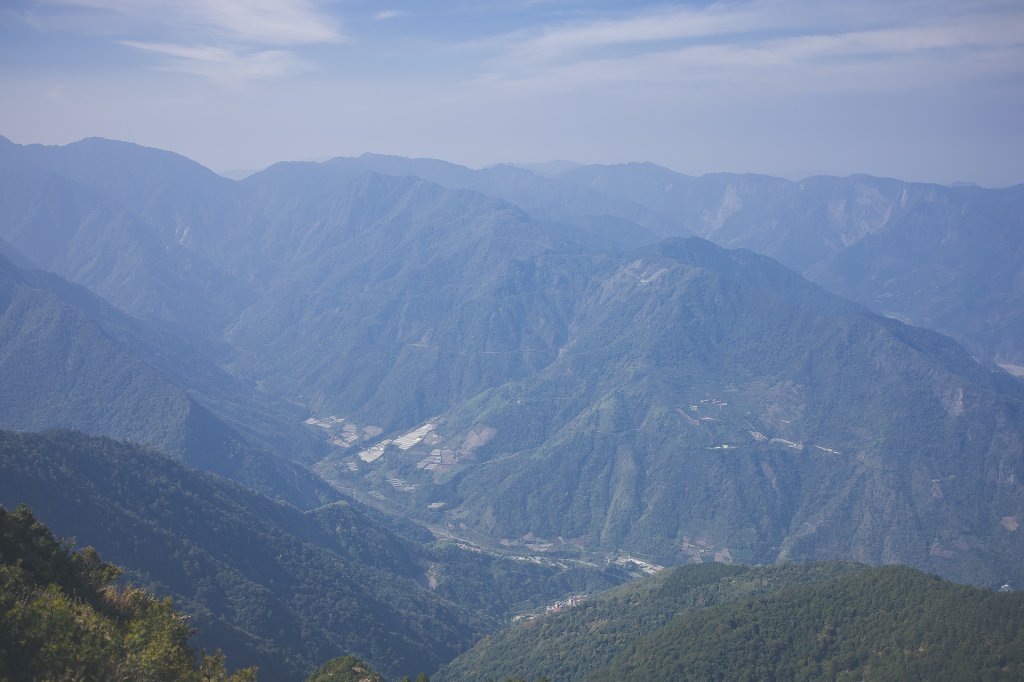 20240323-郡大山步道_2534666
