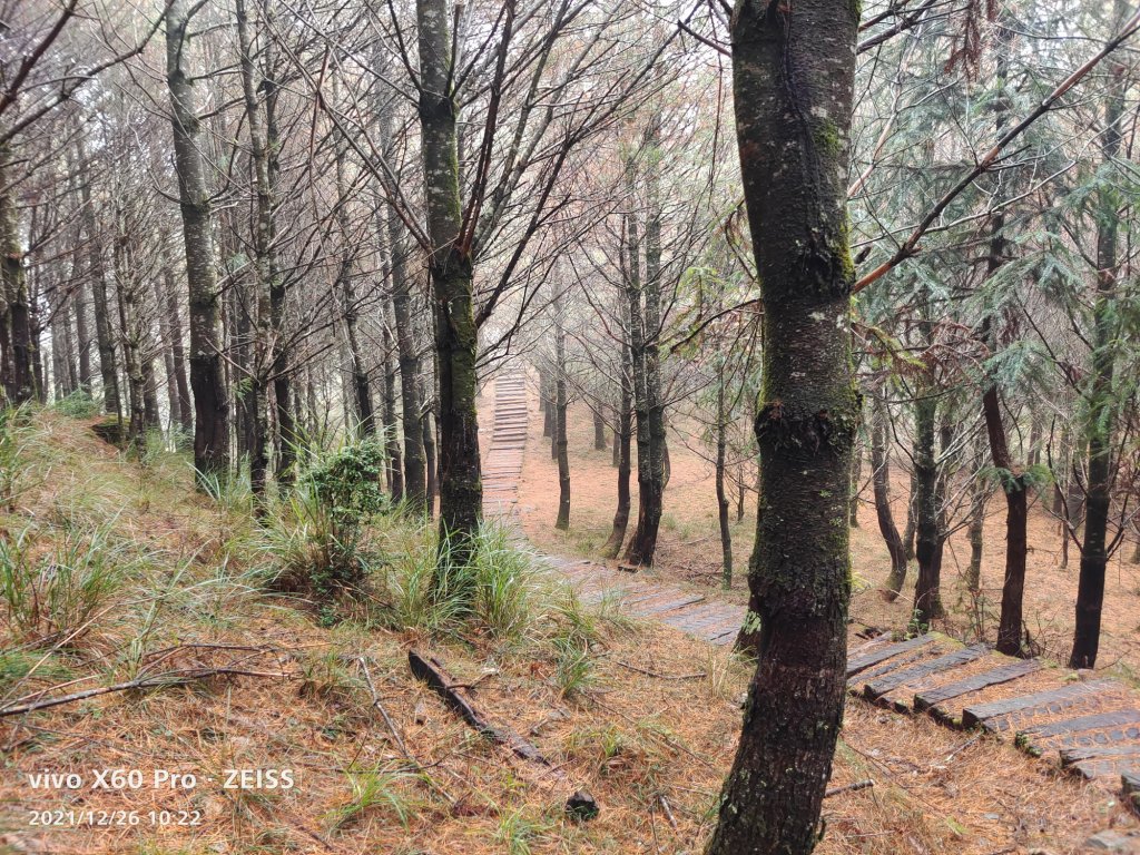 20211226中之關_1618305