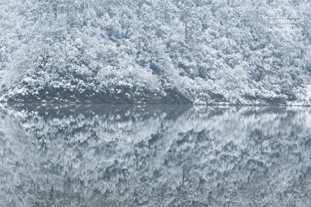 【攝野紀】夢幻般的雪中松蘿湖_264557