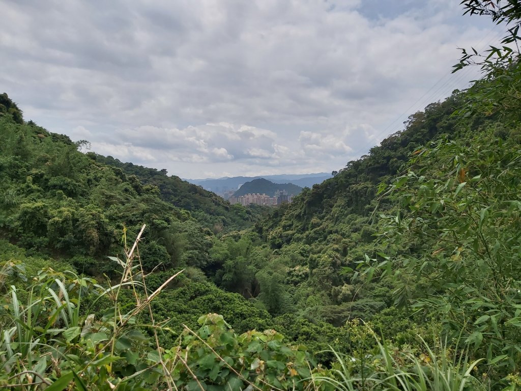 【北市-內湖】龍船岩郊山山徑O型亂亂走_964738