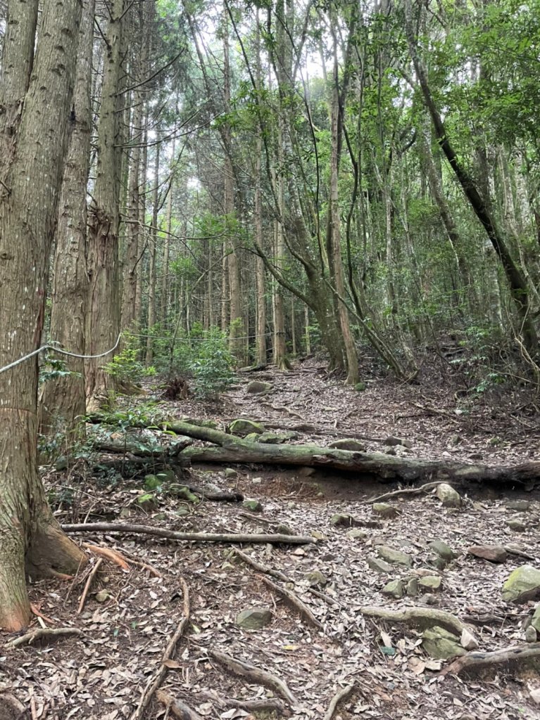 屋我尾山_1776174