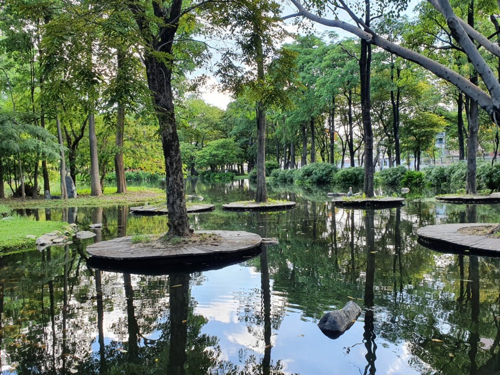 大東濕地公園封面圖