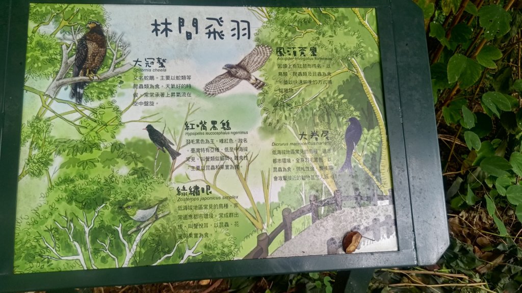 蘭潭後山步道紅毛埤山_2599666