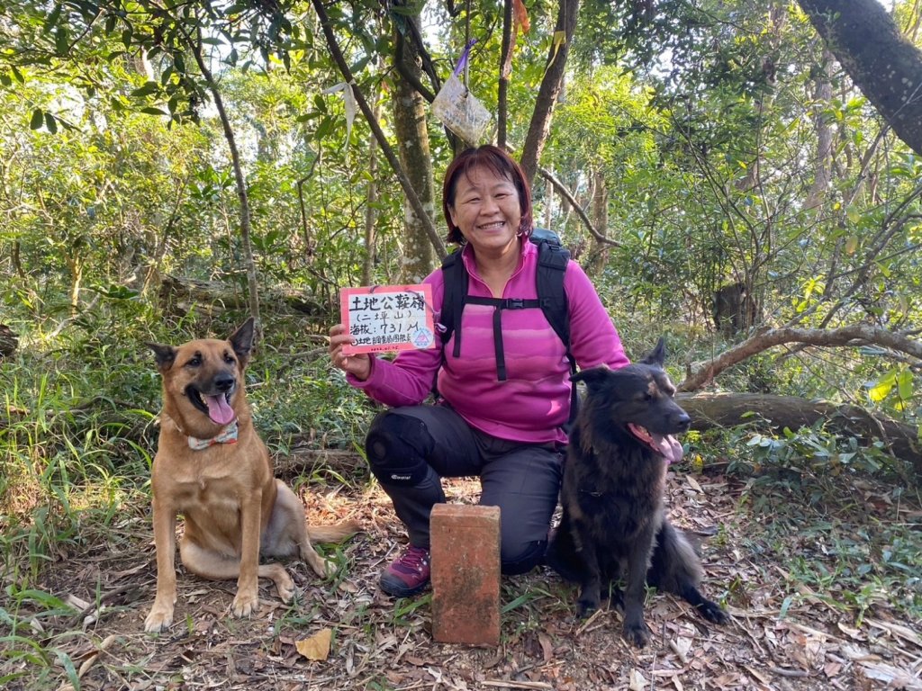 南投縣信義鄉二坪山步道封面圖