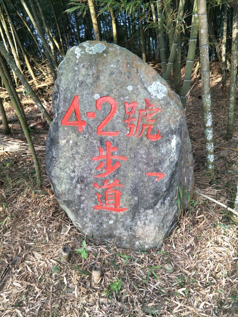 2018 12 25 雲嘉五連峰O型縱走_491606