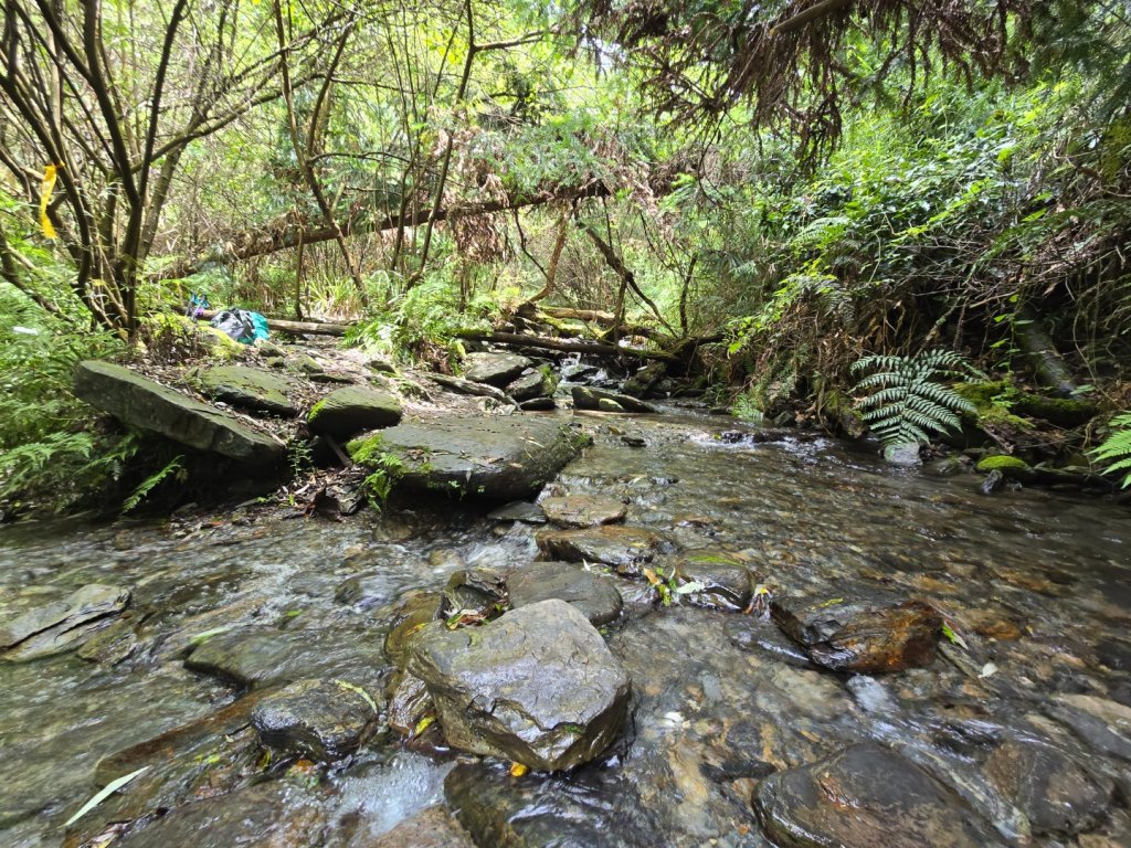 志佳陽大山（回程走高繞環山獵人登山步道）_2542130