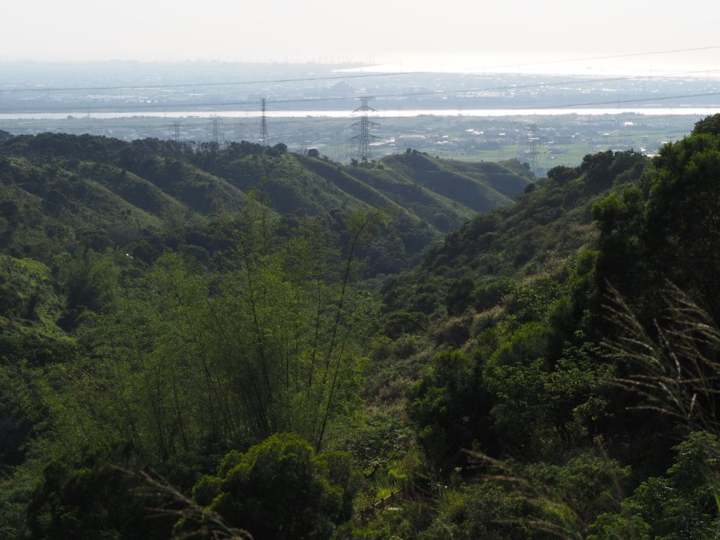 《台中》龍井竹坑南寮登山步道O型_915510