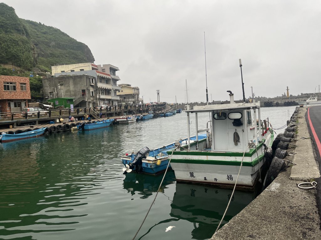 [踢不爛大地遊戲-03/10] 2024_0406 鼻頭角步道_2486821