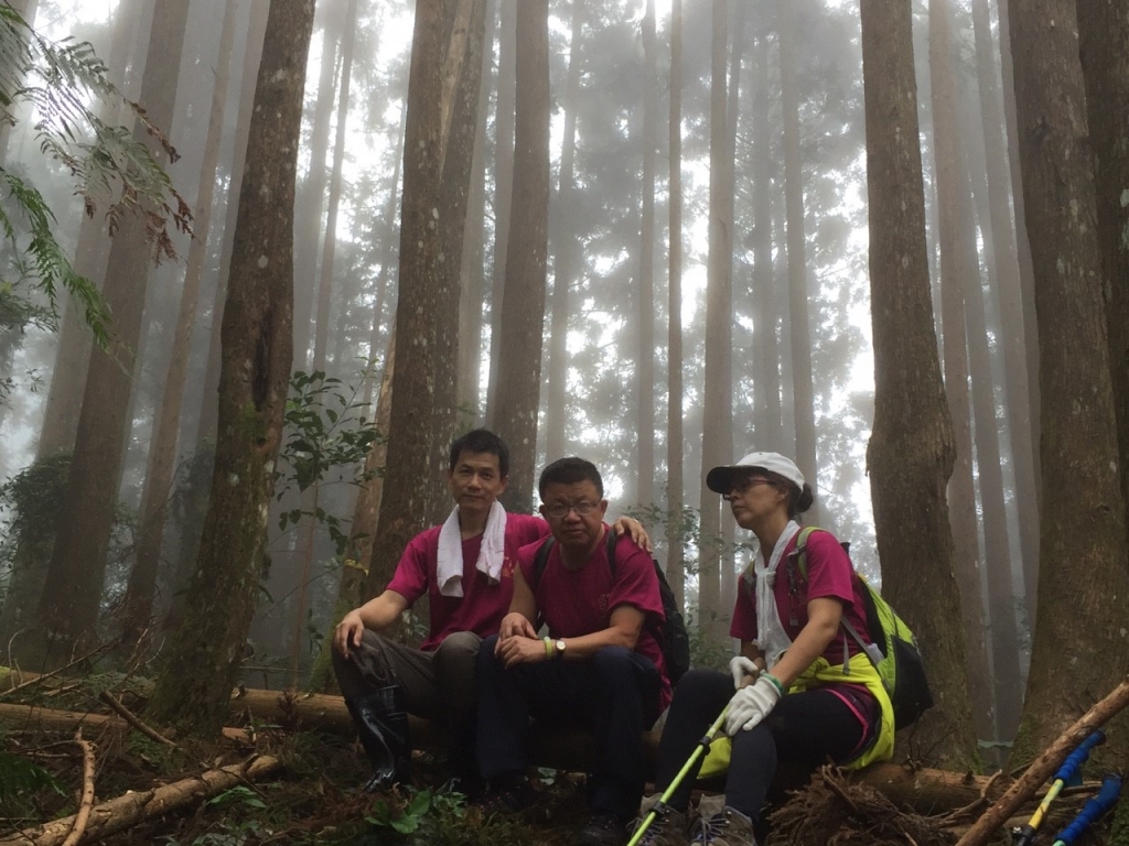 20151024新竹五峰鄉油羅山_27398