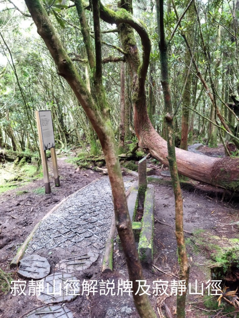 翠峰湖環山步道O行_1752302