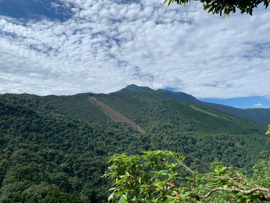 春谷養鱒場-小東河山北峰-小東河山-大龍山-南大龜山-光天高山-春谷養鱒場 O型 2021.6.30_1422820