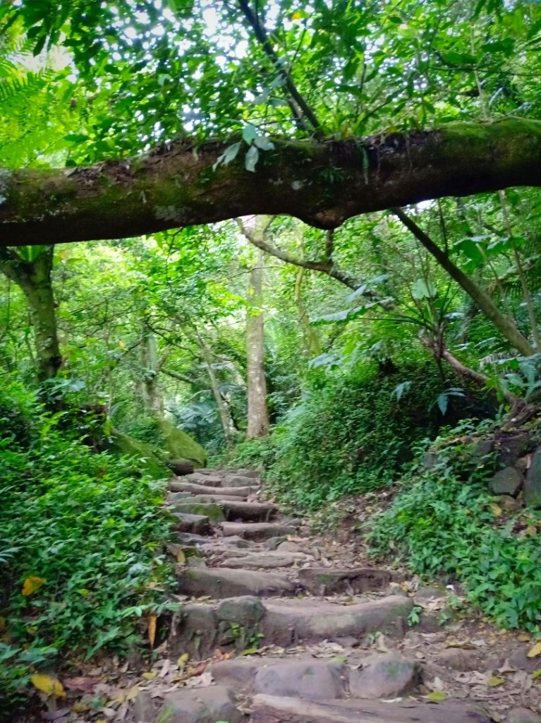 溪洲山-頭寮山_1706073