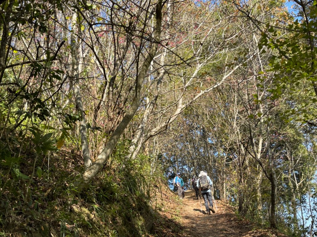 1110115望美山.瓊山_1583245