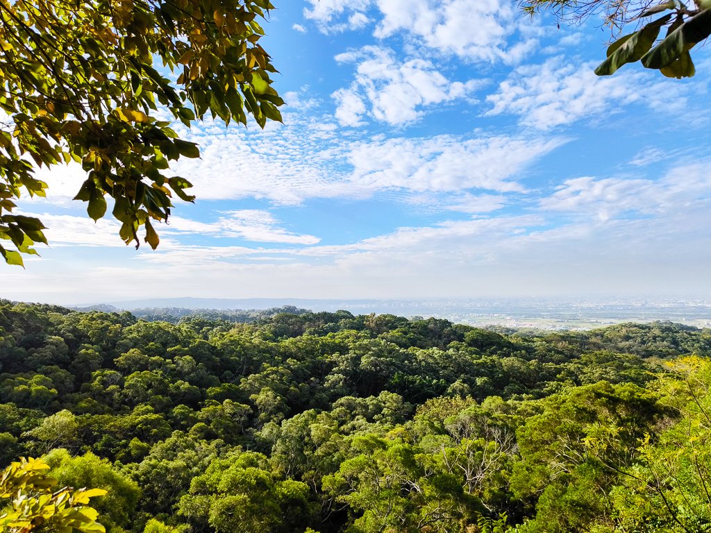 2025-12-14 大肚萬里長城步道、環保公園步道、旗開得勝步道_2968969
