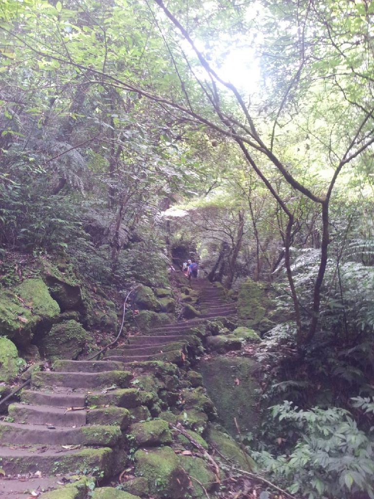 104.07.04 孝子山 慈母峰 普陀山_190159