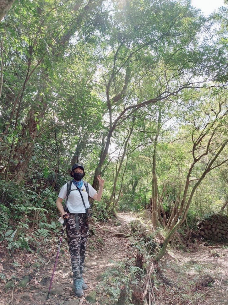 大縱走第四段：風櫃口～中華科大_1742508