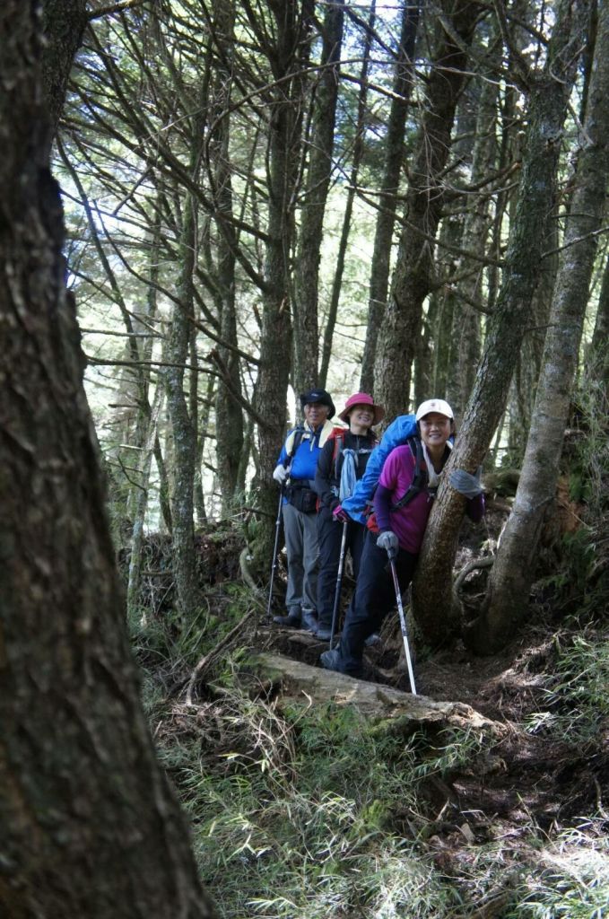 2018/07/27~29屏風山_375301