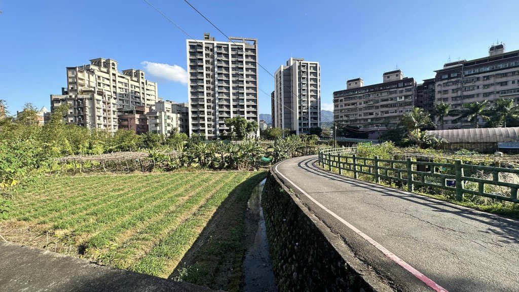 20231119三峽鳶尾山_2354538