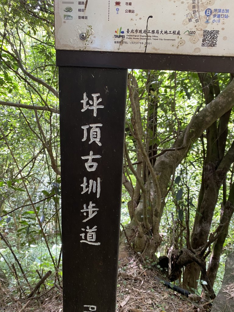 內雙溪的消暑密碼｜走一趟坪頂古圳就懂_2873190