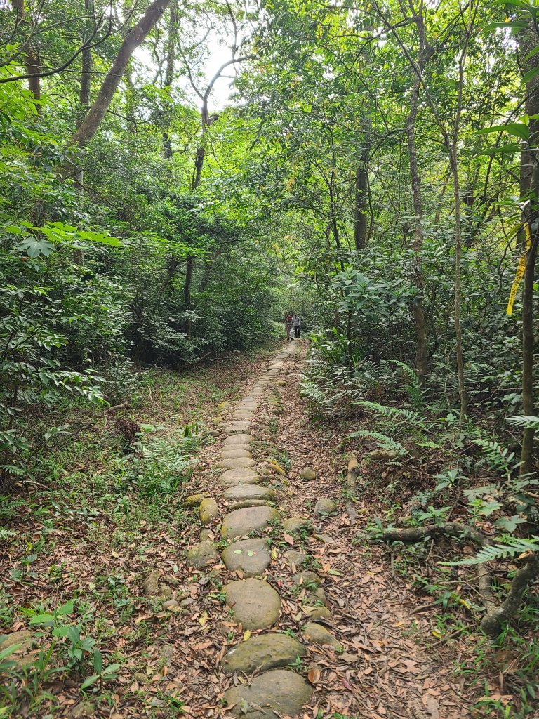 挑炭古道(三通嶺古道)+慈濟山步道_2780420