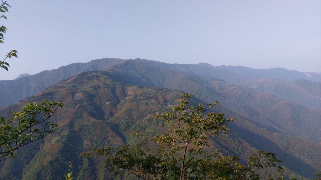 拉拉山神木群步道_354755